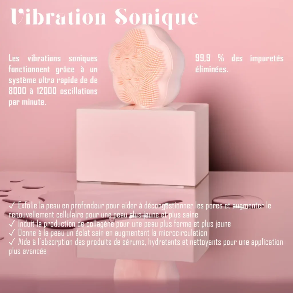 Brosse-visage-Flower-rose-6