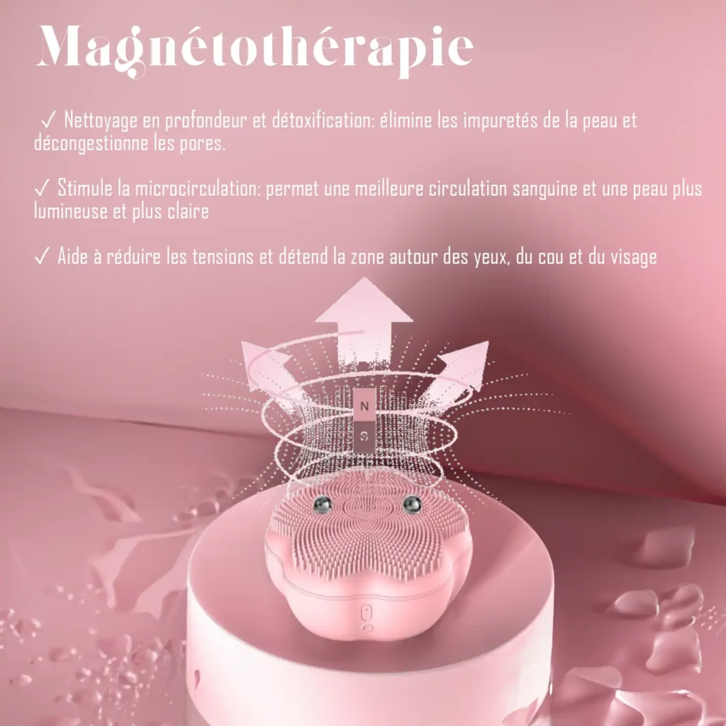 Brosse-visage-Flower-rose-8