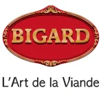 logo bigard nvx